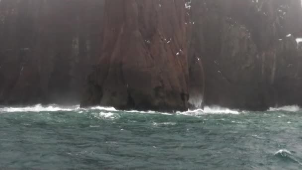 Golven en mist op achtergrond van sneeuw rots in de zee van Antarctica. — Stockvideo