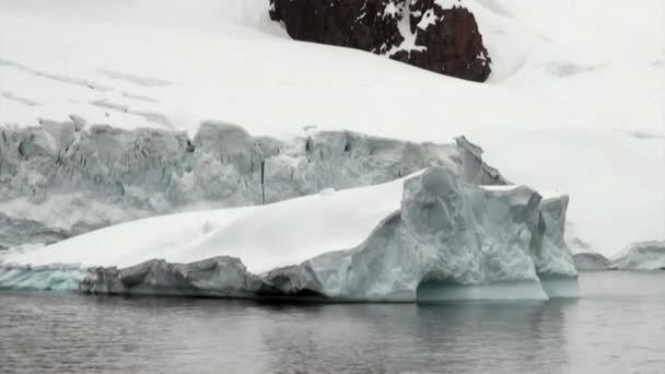 Piatto di ghiaccio nell'oceano dell'Antartide . — Video Stock