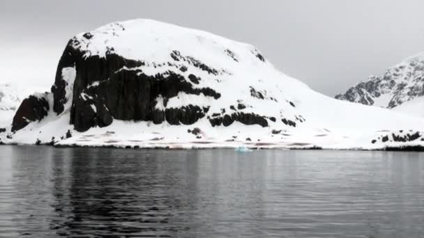 Pingviner på snöiga klippiga kusten isberg och isflak i ocean av Antarktis. — Stockvideo