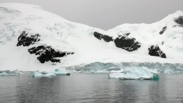 Pakijs in de oceaan van Antarctica. — Stockvideo