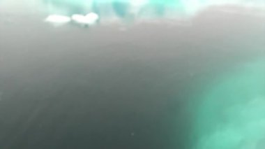 Antarktika'nın okyanusta yüzen buz kütlesi buz.