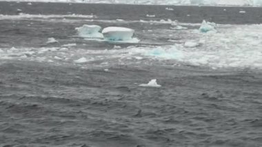 Antarktika'nın okyanusta yüzen buz kütlesi buz.