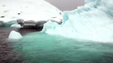 Büyük dev buzdağı ve Antarktika'nın okyanusta yüzen buz kütlesi buz.