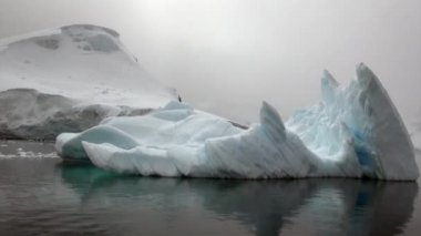 Antarktika'nın okyanusta yüzen buz kütlesi buz.