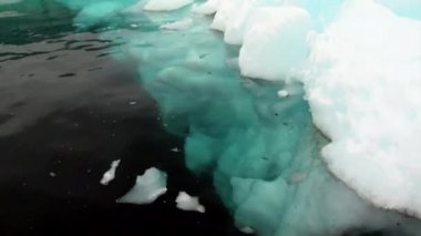 Buzdağı ve Antarktika'nın okyanusta yüzen buz kütlesi buz.