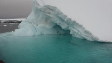 Buzdağı ve Antarktika'nın okyanusta yüzen buz kütlesi buz.