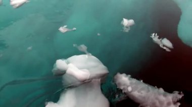 Buzdağı Antarktika'nın okyanus sualtı.