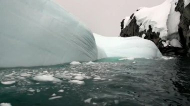 Buzdağı ve Antarktika'nın okyanusta yüzen buz kütlesi buz.