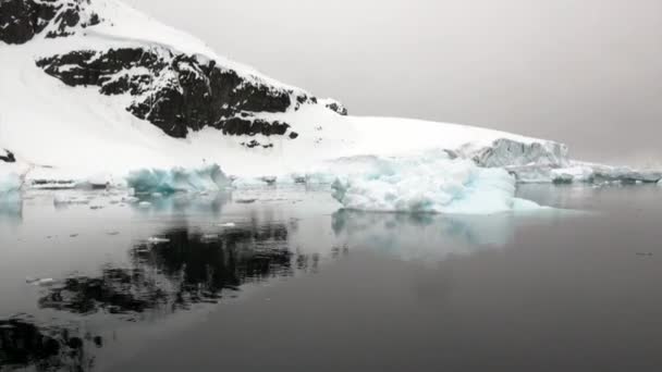 Острів пінгвінів і айсберг в океані Антарктиди. — стокове відео