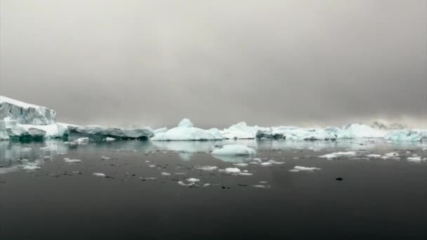 Piatto di ghiaccio nell'oceano dell'Antartide . — Video Stock
