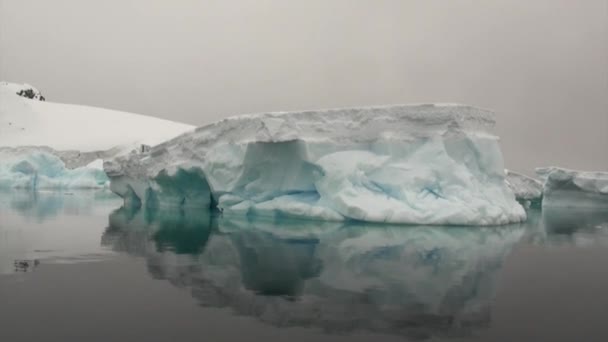 Faixa de gelo e iceberg no oceano da Antártida . — Vídeo de Stock