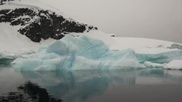 Pakijs en ijsberg in de zee van Antarctica. — Stockvideo