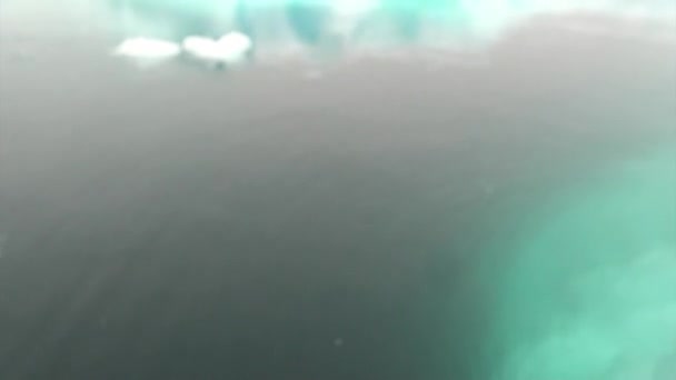 Piatto di ghiaccio nell'oceano dell'Antartide . — Video Stock