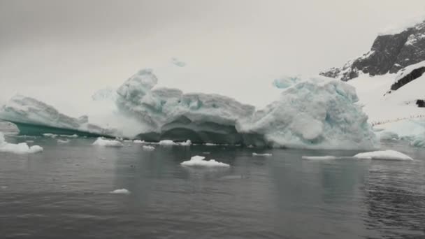 Παγόβουνο και παγετώνας πάγο στον ωκεανό της Ανταρκτικής. — Αρχείο Βίντεο