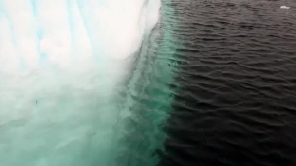 Faixa de gelo e iceberg no oceano da Antártida . — Vídeo de Stock