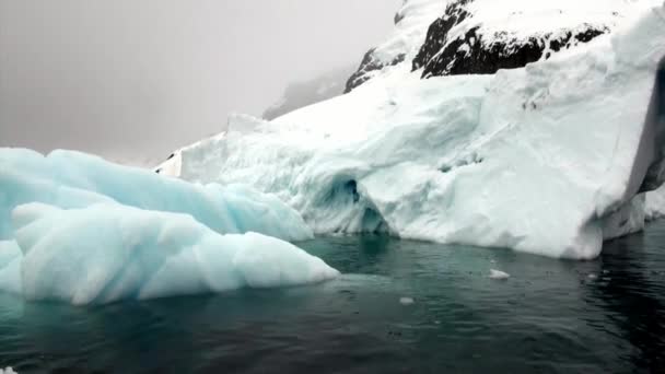 Eisscholle und Eisberg im Ozean der Antarktis. — Stockvideo