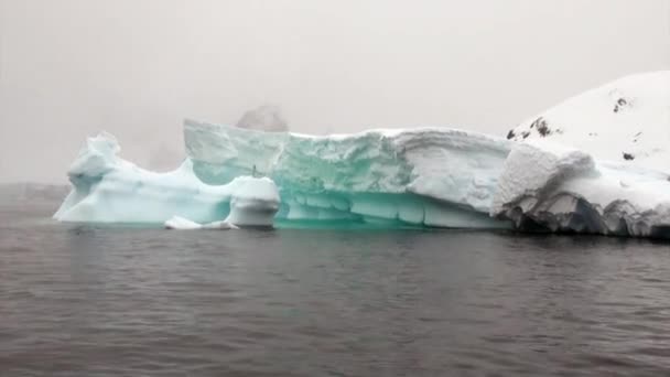 Айсберг і острів пінгвінів в океані Антарктиди. — стокове відео