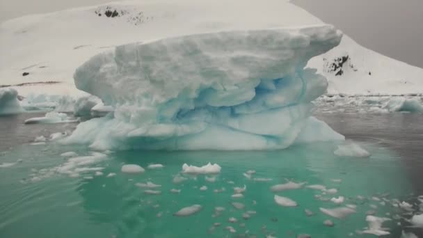 Pakijs in de oceaan van Antarctica. — Stockvideo