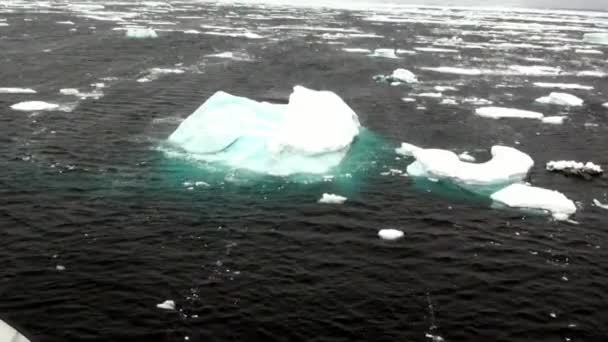 Antarktika'nın okyanusta gemi görünümünden yüzen buz kütlesi. — Stok video