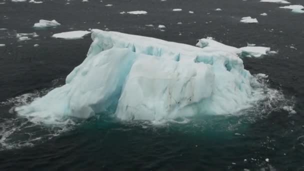 남극 대륙의 바다에서 얼음 빙원. — 비디오