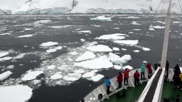 Персоналии на корабле в океане Антарктиды. — стоковое видео