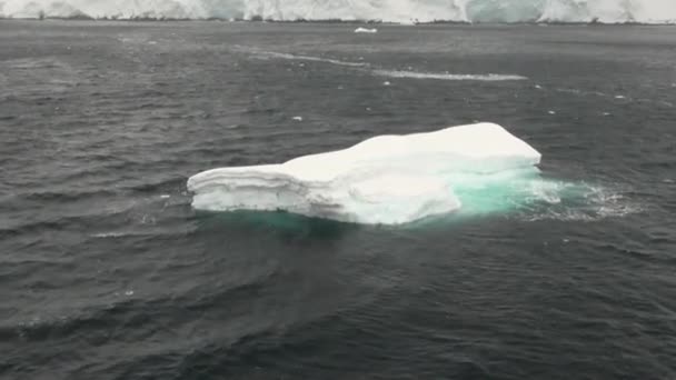 Ledová kra v oceánu Antarktidy. — Stock video
