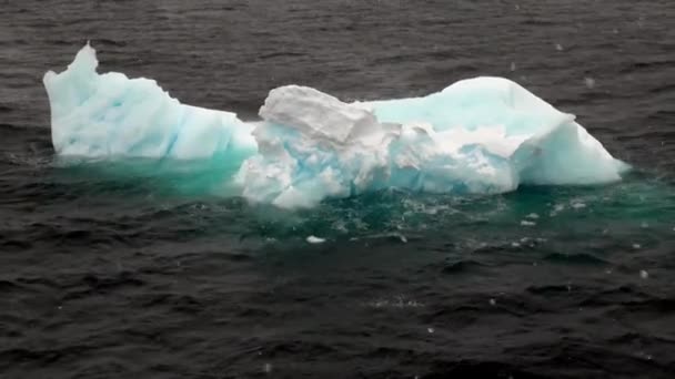 Piatto di ghiaccio nell'oceano dell'Antartide . — Video Stock