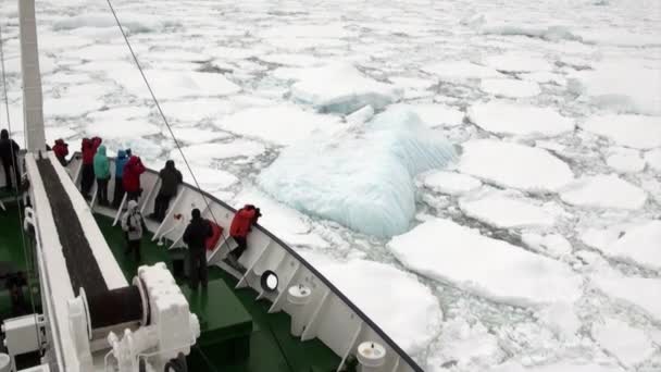 Personer på fartyg på bakgrund av isflak i ocean av Antarktis. — Stockvideo