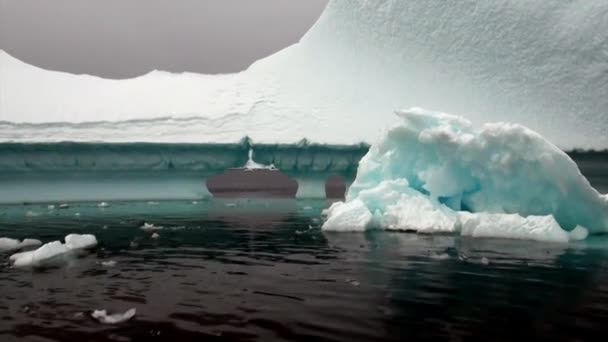 Enorme reusachtige ijsberg in de zee van Antarctica. — Stockvideo