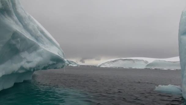 Гигантский айсберг и льдины в океане Антарктиды . — стоковое видео