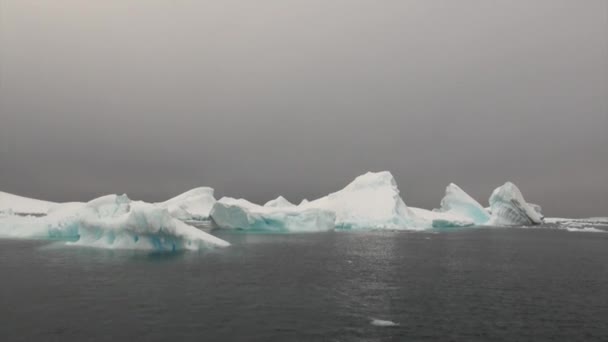 Piatto di ghiaccio nell'oceano dell'Antartide . — Video Stock