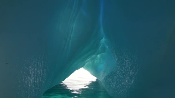 빙산 남극 대륙의 바다에서. — 비디오