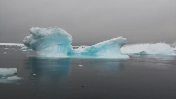 Iceberg e gelo flutuam no oceano da Antártida . — Vídeo de Stock