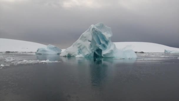 Iceberg e gelo flutuam no oceano da Antártida . — Vídeo de Stock