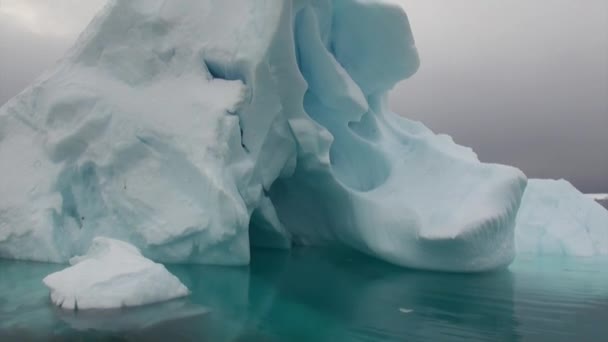 Iceberg y témpano de hielo en el océano Antártico . — Vídeo de stock