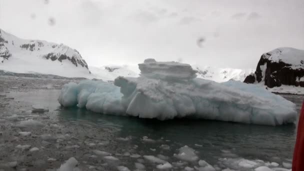 남극 대륙의 바다에서 얼음 빙원. — 비디오