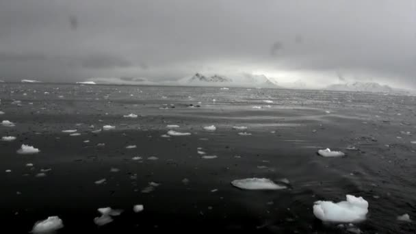 Témpano de hielo en el océano Antártico . — Vídeo de stock