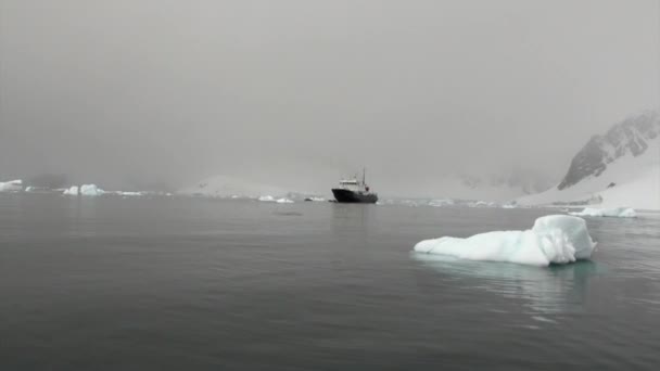 Schiff vor dem Hintergrund der Eisscholle im Ozean der Antarktis. — Stockvideo