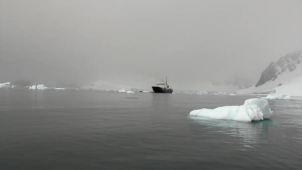 南極の海氷盤の背景に出荷します。. — ストック動画