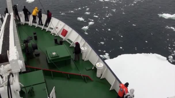 Персоналии на корабле в океане Антарктиды. — стоковое видео