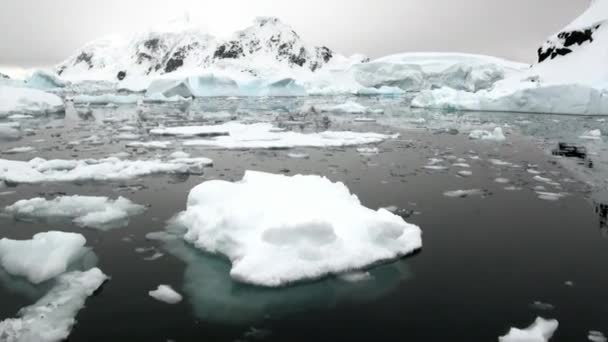 Ledová kra a ledovce v oceánu Antarktidy. — Stock video
