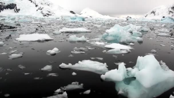 Eisscholle und Eisberg im Ozean der Antarktis. — Stockvideo