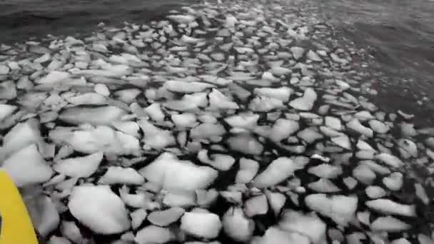 People near Ice floe and iceberg in ocean of Antarctica. — Stock Video