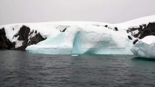 Айсберг и льдины в океане Антарктиды . — стоковое видео