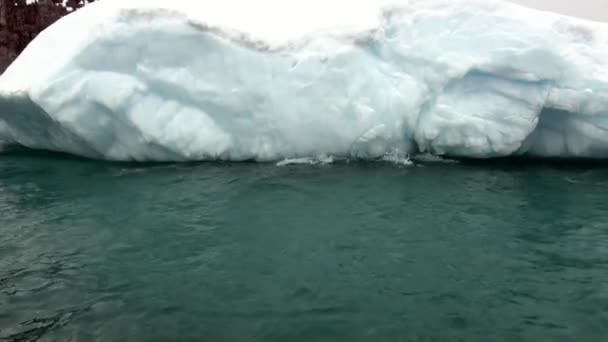 빙산과 얼음 빙원 남극 대륙의 바다에서. — 비디오