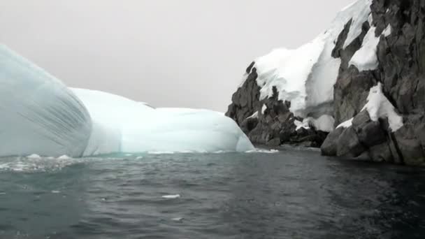 Айсберг і острів пінгвінів в океані Антарктиди. — стокове відео