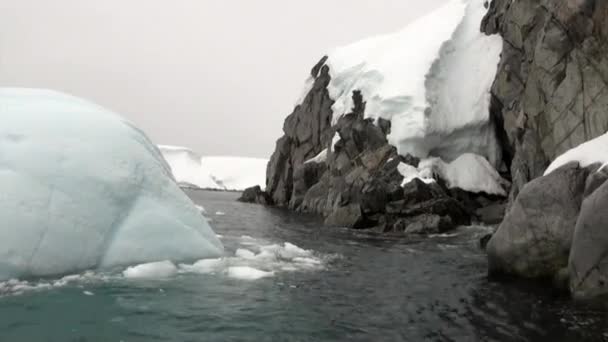 Ledovce a kře v oceánu Antarktidy. — Stock video