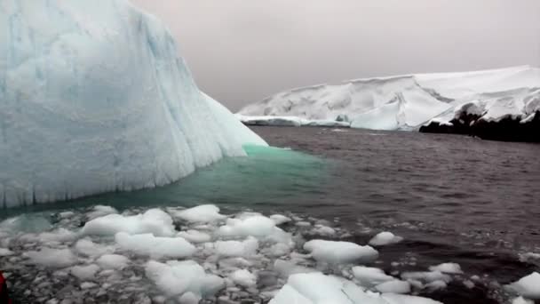 Ijsberg en pakijs in de oceaan van Antarctica. — Stockvideo