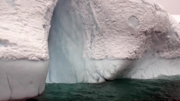 Iceberg nell'oceano dell'Antartide . — Video Stock