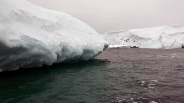 Ledovce v oceánu Antarktidy. — Stock video